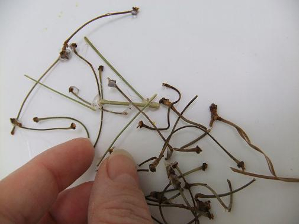 The dried stems can easily be stacked into any shape