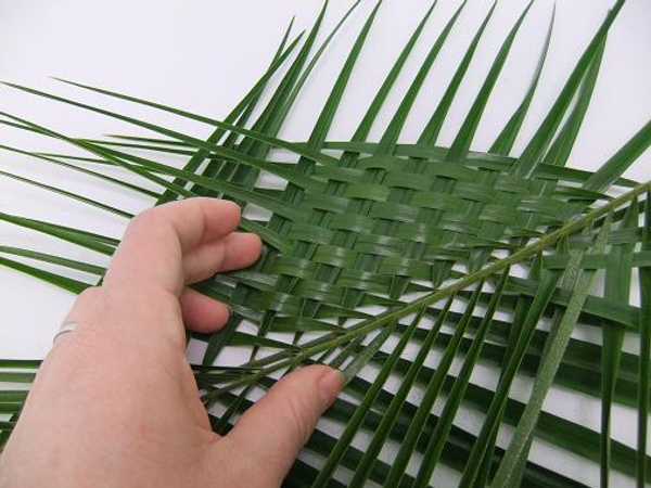 Continue weaving all the way down the palm leaf