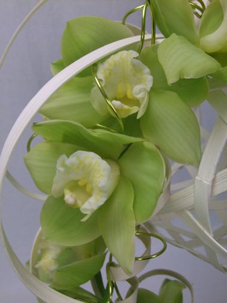 Beautiful green Cymbidium orchids Beautiful green Cymbidium orchids