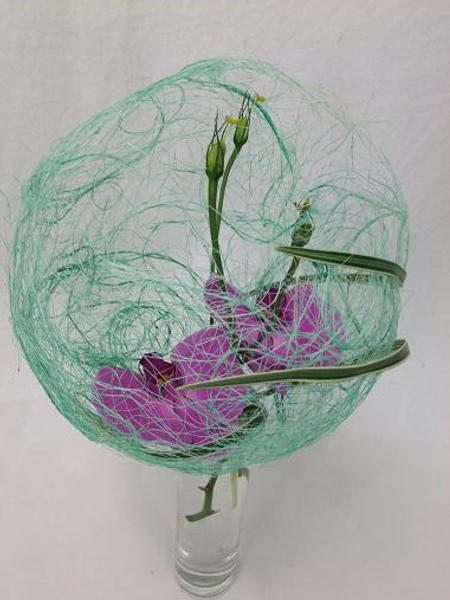 Orchids in a sisal bubble