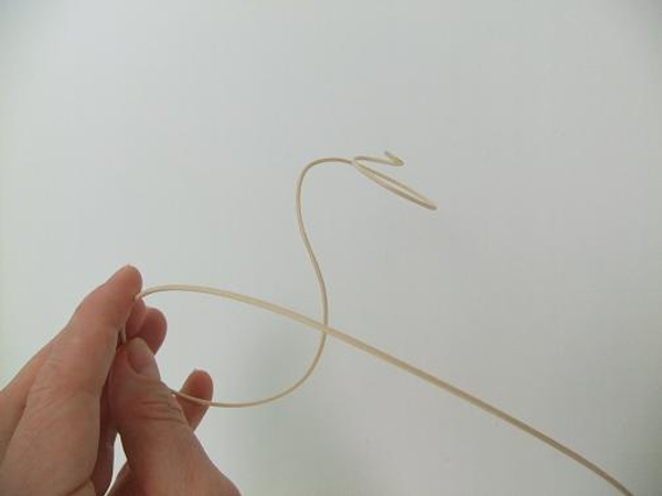 Curly rattan tendril