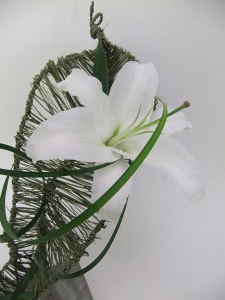 Lily resting on a grass armature.