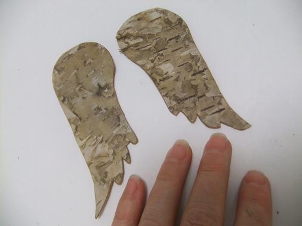 Two birch bark wings