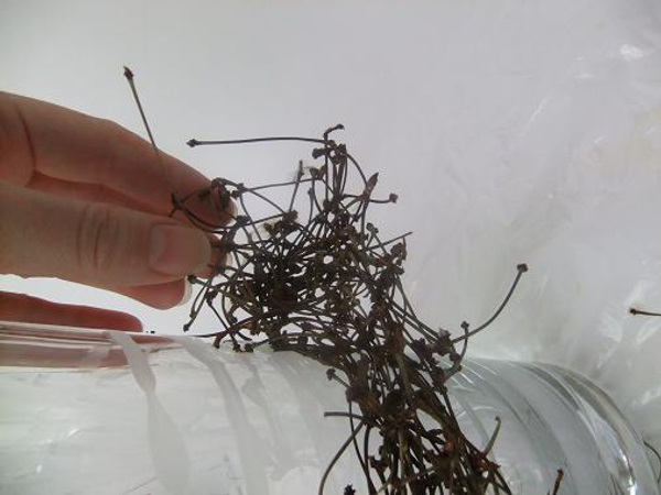 Peel away the stems from the glass. Peel away the stems from the glass.