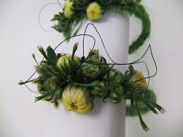 Tight chrysanthemum buds with jasmine 