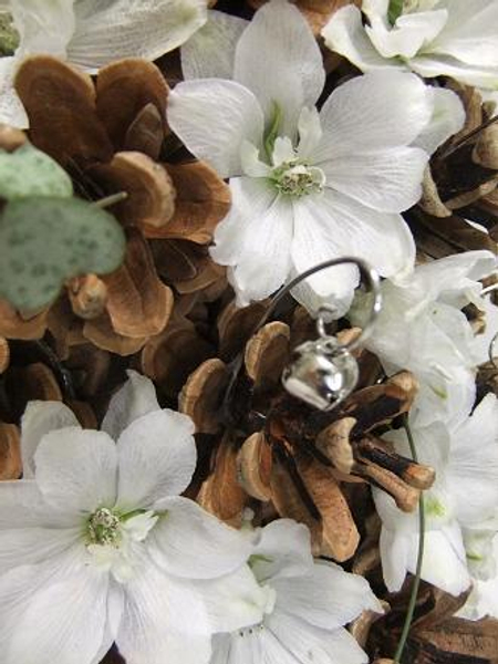 White delphinium and pinecone