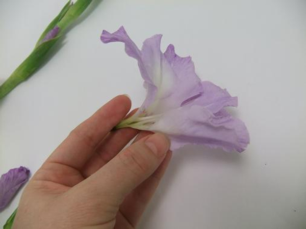 As soon as the petal is split open it firls out easily