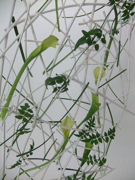 Calla lily and jasmine tendrils.