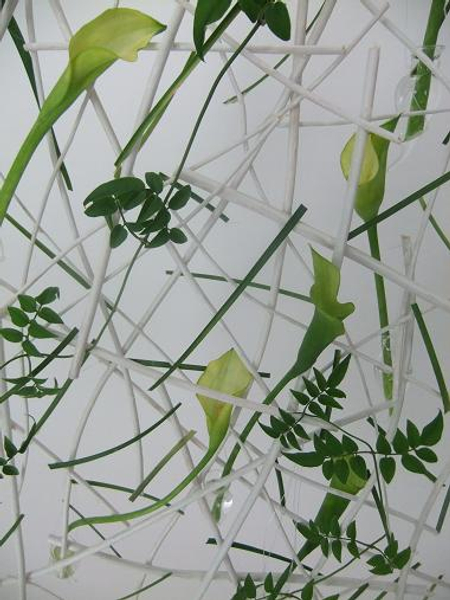 Hang the calla lilies in tiny glass vases