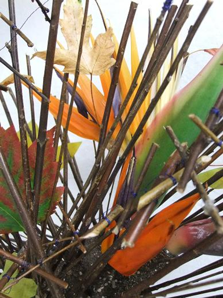 Bird of paradise flowers in a twig armature.