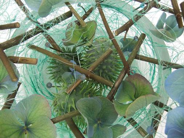 Blue green ornamental cucumbers