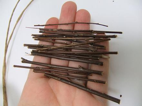 Cut a hand full of twigs.