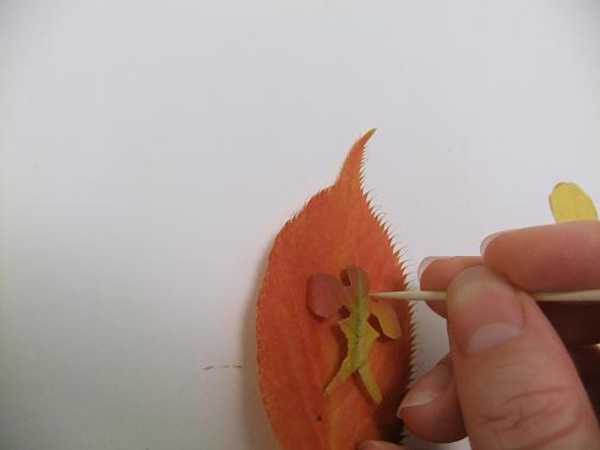Cut out the lobe leaf and trace a second lobe