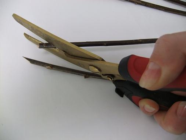 Cut the one end at a very sharp angle