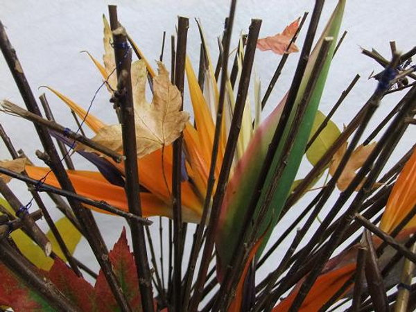 Fall leaves, twigs Strelitzia flowers