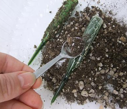 Covering test tubes with potting soil
