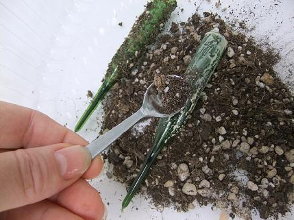 Sprinkle with potting soil