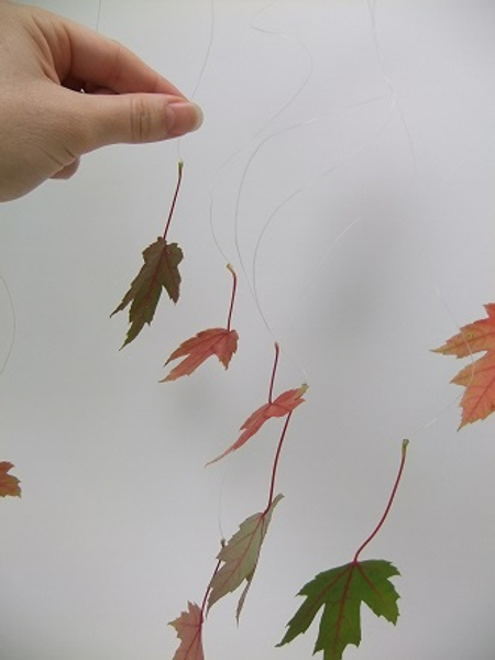 Continue adding leaves Continue adding leaves