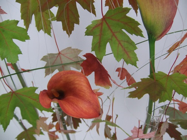 Stringing Arum lilies