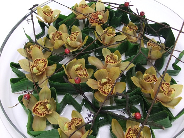 Cymbidium orchid design