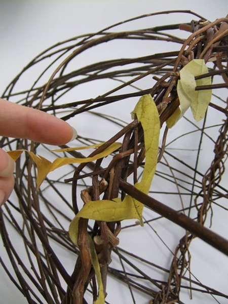 Hook the inside of the leaf spiral around a twig and start to wrap