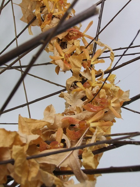 Snip autumn leaves to twirl around the twigs