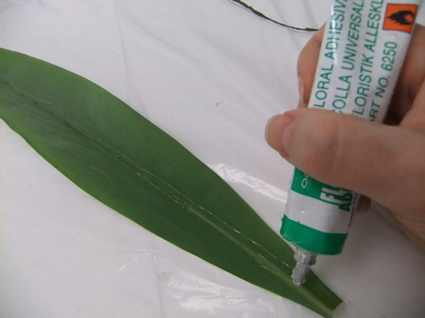 Spread floral glue down the length of the leaf