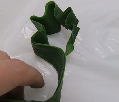  Zig-Zag leaf flower frog