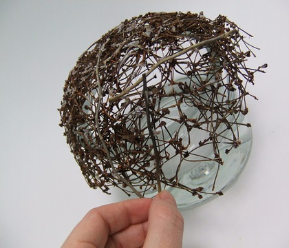 Dried twig dome