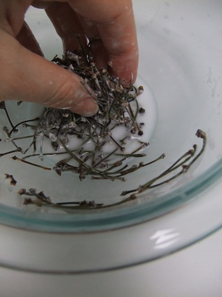 Mix to soak the twigs with glue