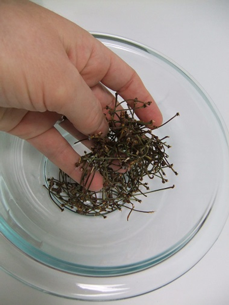 Place a few dried twigs in a bowl