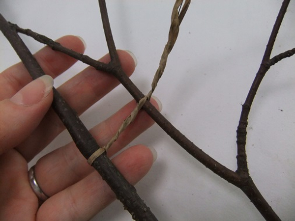 Twist the wire and add the next twig Twist the wire and add the next twig