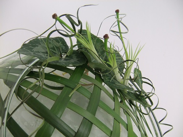 Curl some ripped foliage