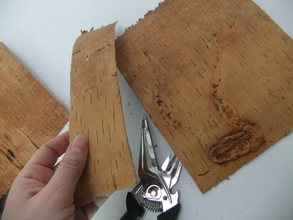 Cut a strip of bark into a rectangle.