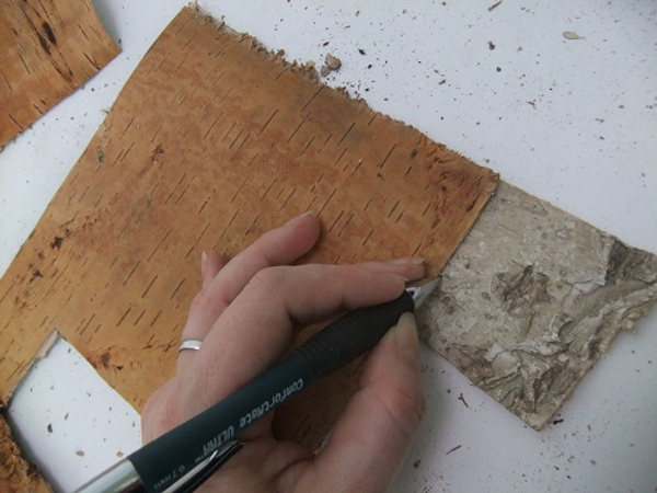 Mark and cut a bottom piece of bark