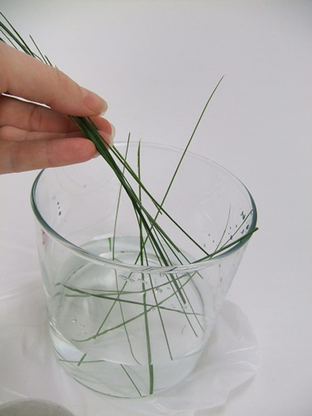 Slip a few strands of ripped foliage in a vase filled with a bit of water.jpg