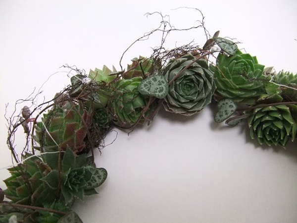 A succulent floral crown will last for days, even weeks under the right conditions.