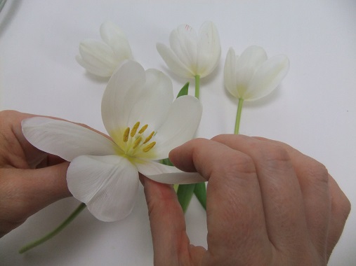 Tutorials - Reflex Tulip Petals