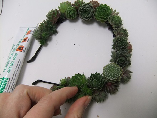 Carefully add more succulents to cover the surface