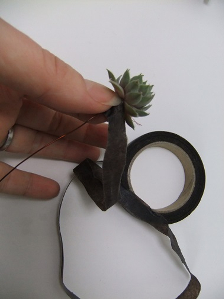 Cover the stem and wire with florist tape