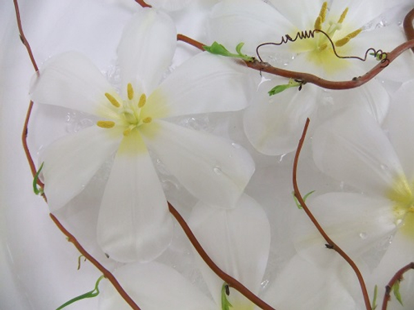 Floating tulips with a bubble wrap skirt