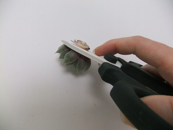 Tutorials - Using floral glue to secure succulents