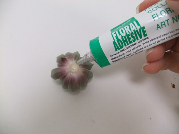 Tutorials - Using floral glue to secure succulents