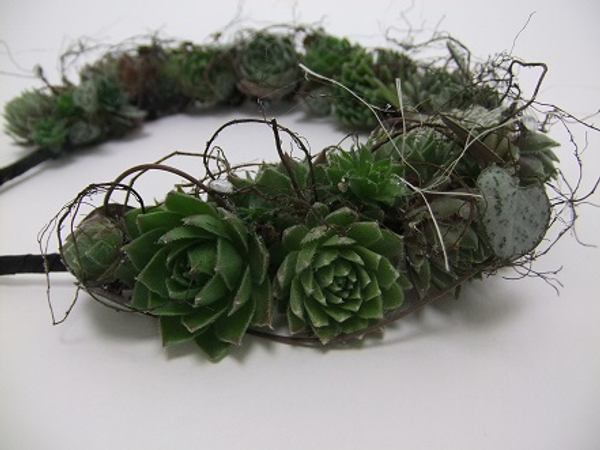 Succulent floral crown