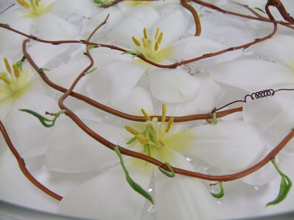 Tulip and willow spring design Tulip and willow spring design
