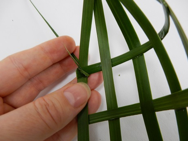 Bind the palm strand over the one side and then over the other to cross