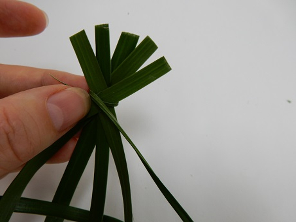Cover the glued section with a thin strand of palm leaf