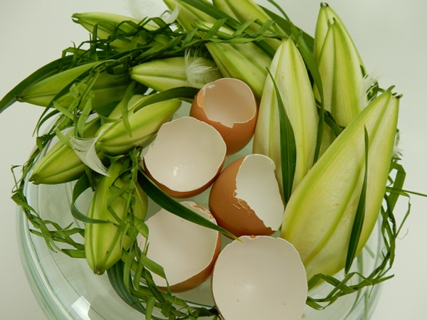 Egg and feather accessories Egg and feather accessories