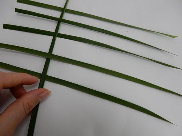 Place 5 palm leaves in a horizontal position and start weaving another leaves through it