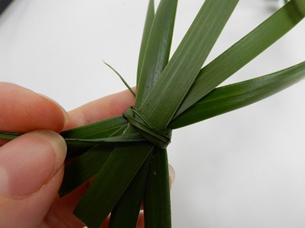 Pull tightly on the knot before cutting the dangling leg short